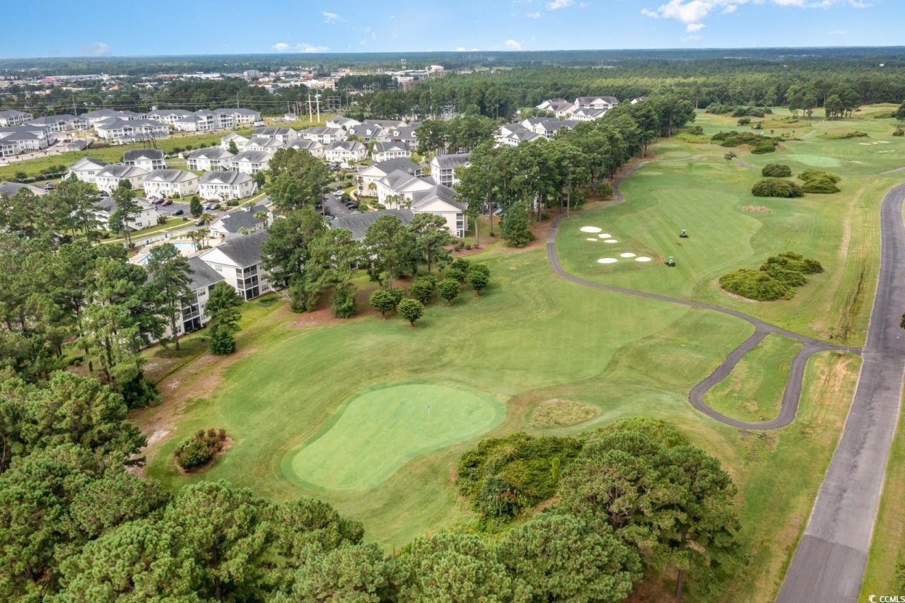 4920 Windsor Green Way Photo 38