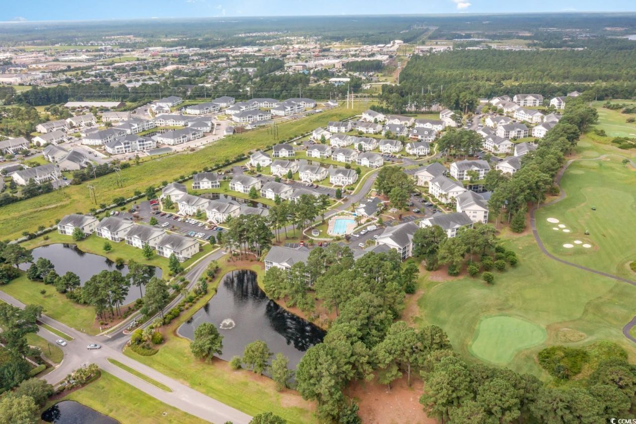 4920 Windsor Green Way Photo 39