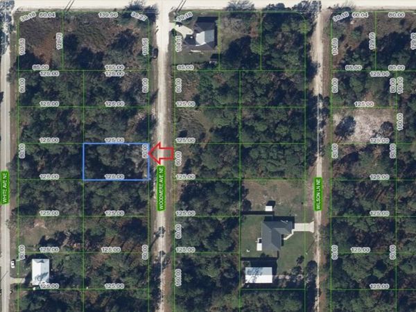 107 WOODMERE AVENUE NE, LAKE PLACID, FL 33852