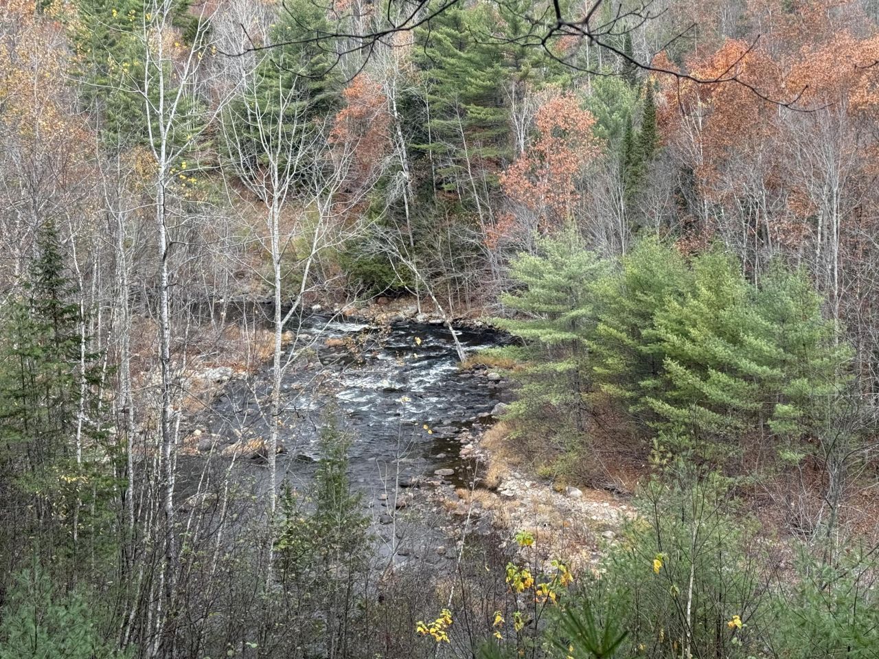 L50 Storer Hill Road, Carthage, ME 04224 Main Photo