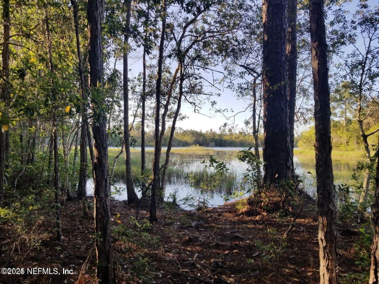 118 Acacia Street, Crescent City, FL 32112 Photo