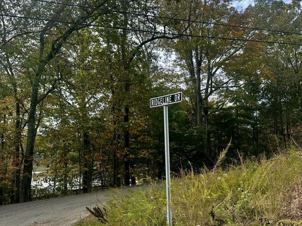 Eagle Point Drive, Rockwood, TN 37854