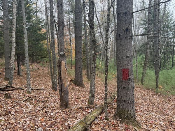 L55 Storer Hill Road, Carthage, ME 04224