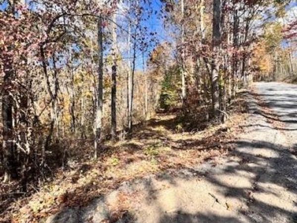 0 Hendrickson RD, Pembroke, VA 24136