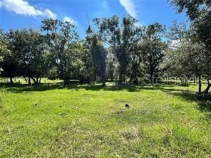 6930 Muck Pond Road, Seffner, FL 33584 Photo