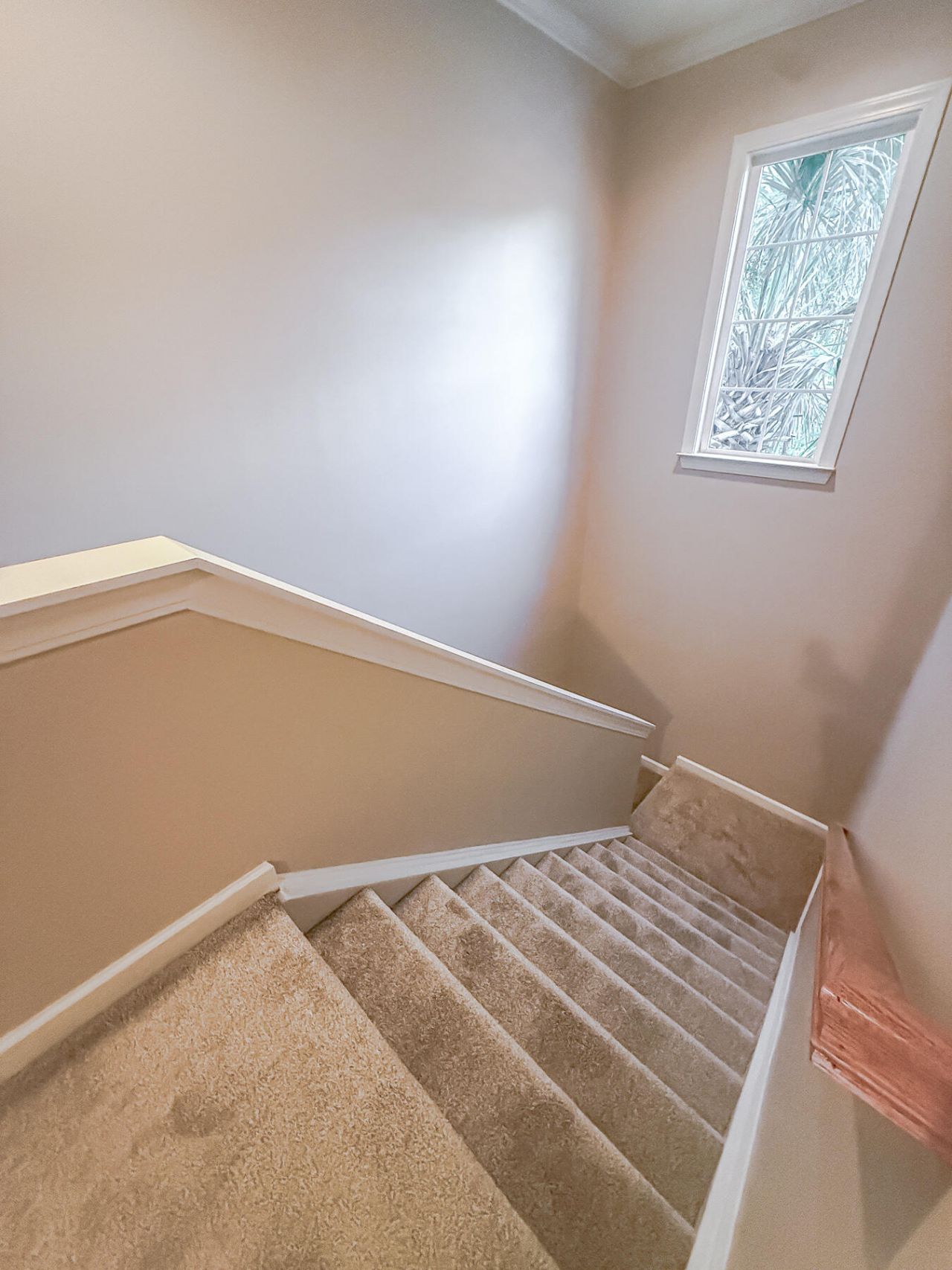 184 Golf View Lane Photo 10