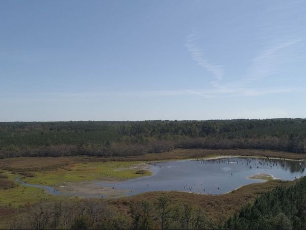 2202 KENNEDY BRIDGE Road, Register, GA 30452