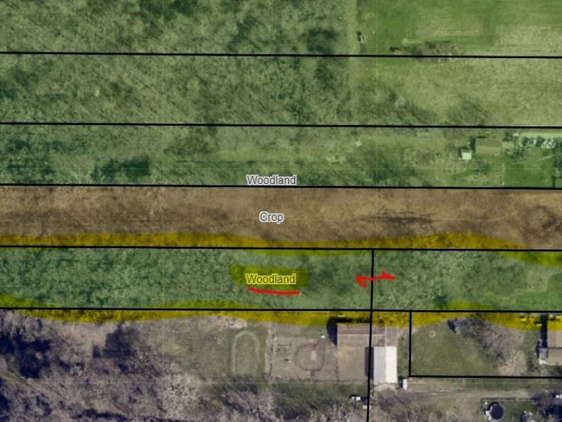 7668 Murray Ridge Road, Elyria, OH 44035 Photo 10