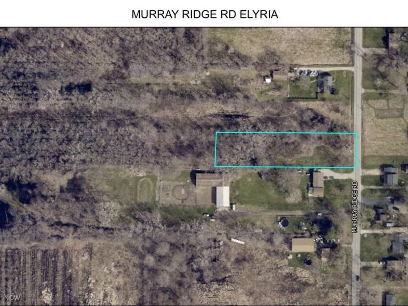 7668 Murray Ridge Road, Elyria, OH 44035 Photo 4