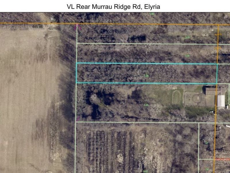 7668 Murray Ridge Road, Elyria, OH 44035 Photo 7