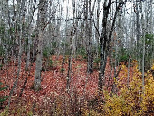 000 Square Road, Unit Lot B, Eden, VT 05653