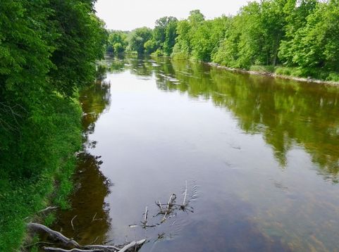 Main Photo