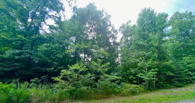 3482 Chapel Hill Rd, Crawford, TN 38554 Main Photo
