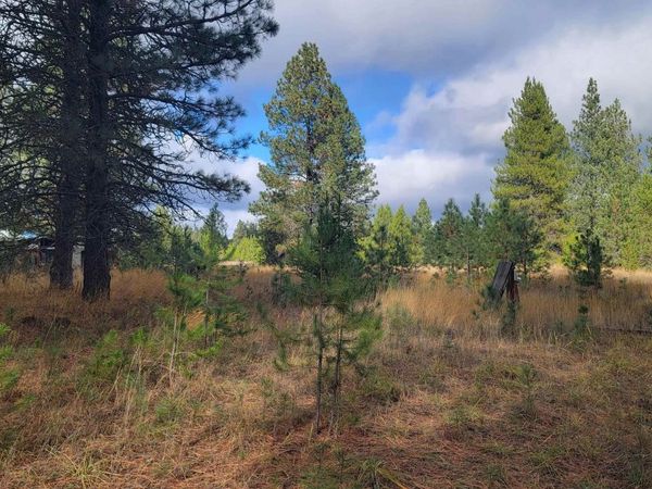 652 Jorgens Rd, Newport, WA 99156