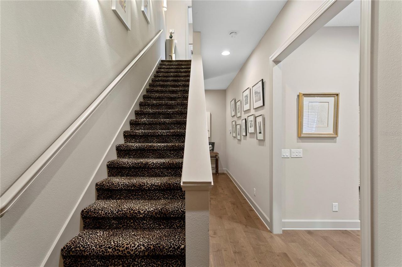 153 5th Avenue Ne, Saint Petersburg, FL 33701 Photo