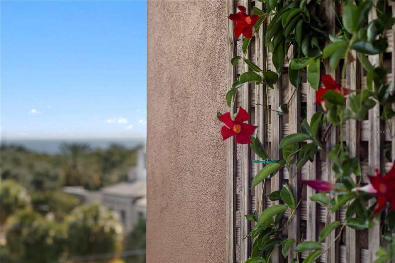 153 5th Avenue Ne, Saint Petersburg, FL 33701 Photo