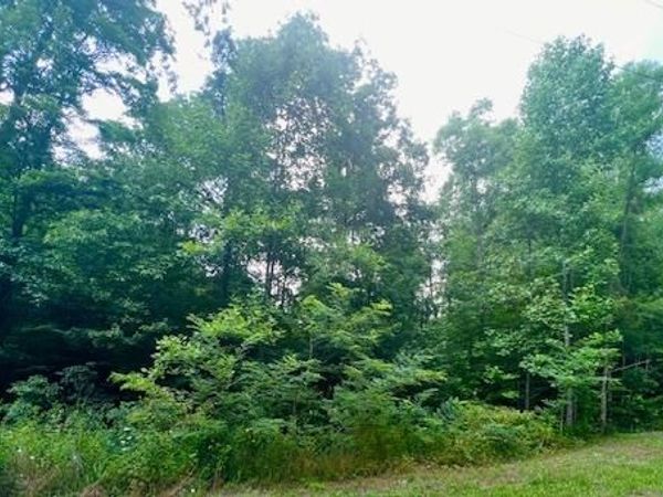 3482 Chapel Hill Rd, Crawford, TN 38554