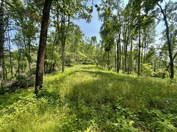 99/AC NW TBD Copperhead Hollow Road, Mountain City, TN 37683