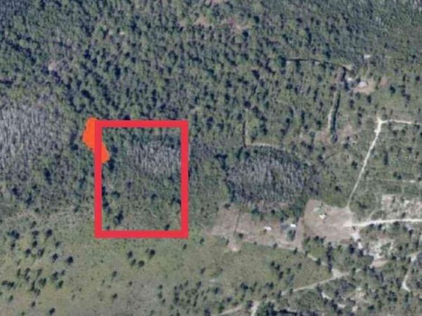 000 HOLOPAW GROVE ROAD, ST CLOUD, FL 34772