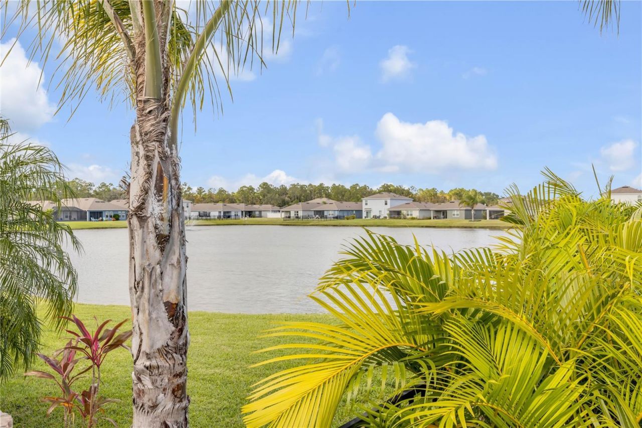 206 Venetian Palms Boulevard, New Smyrna Beach, FL 32168 Photo