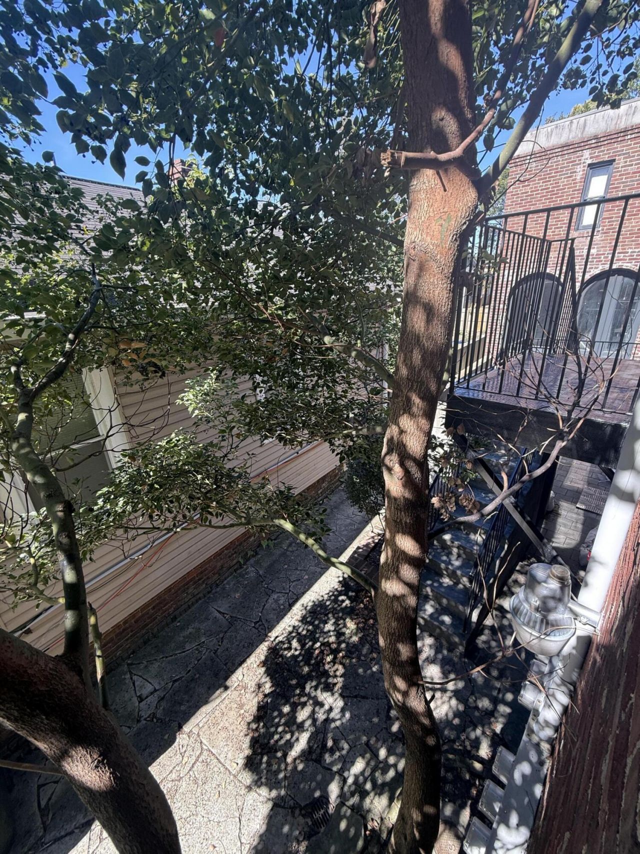 2 Francis Street Photo 28