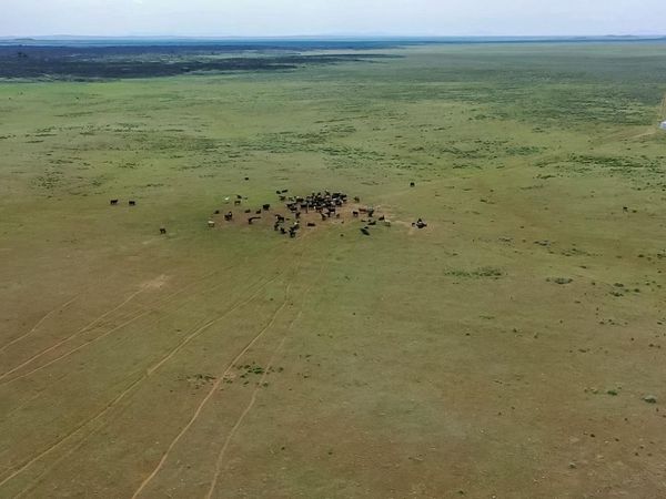 TBD Tbd, Carey, ID 83320