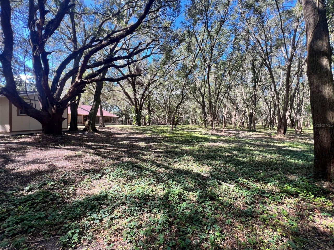 14609 SE 155th Street, Weirsdale, FL 32195 Photo