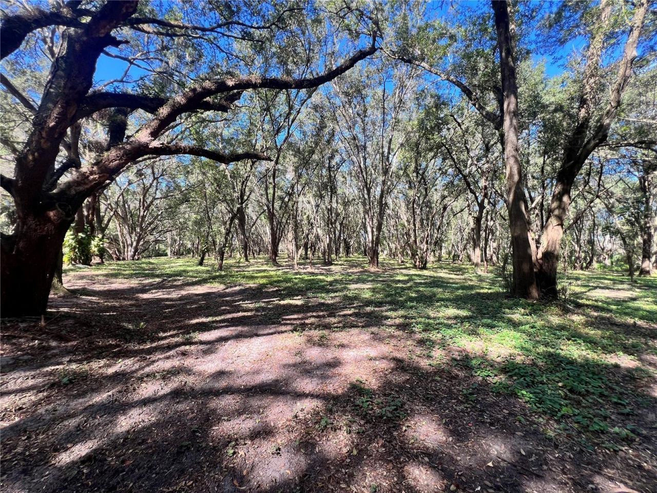 14609 SE 155th Street, Weirsdale, FL 32195 Photo