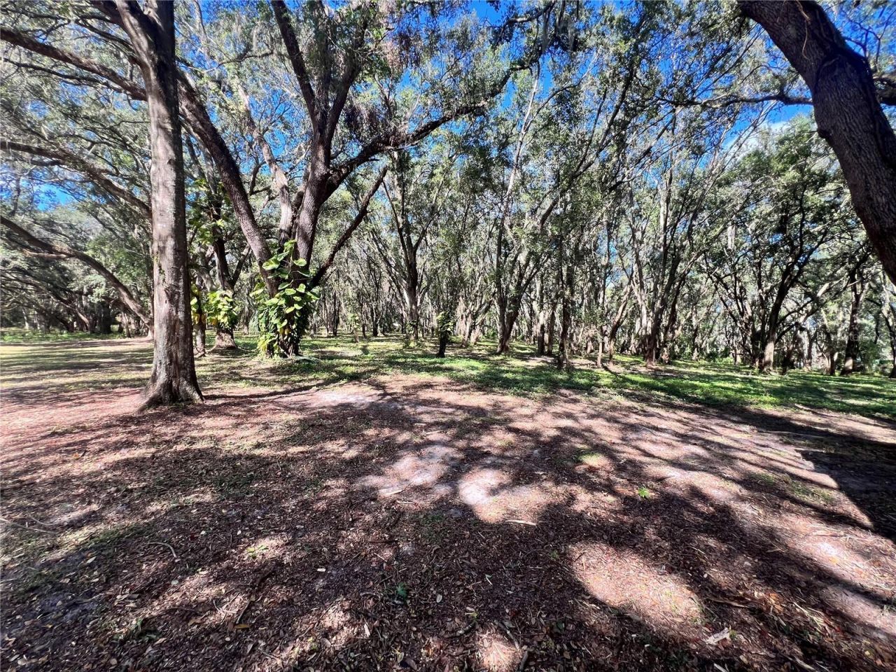 14609 SE 155th Street, Weirsdale, FL 32195 Photo