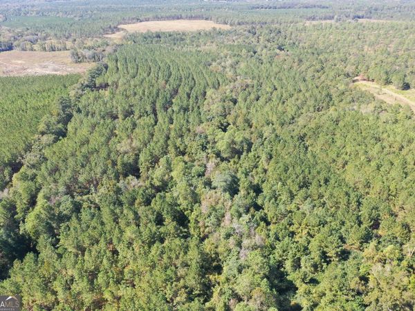 0 Upper Hawthorne Trail, Cairo, GA 39828