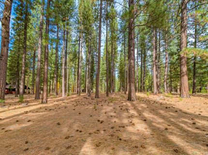 24 Deer Creek Crossing, Clio, CA 96106 Photo