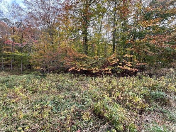 0 Stone Lick Road, Kenna, WV 25248