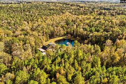 1348 Koon Trestle Road photo 4