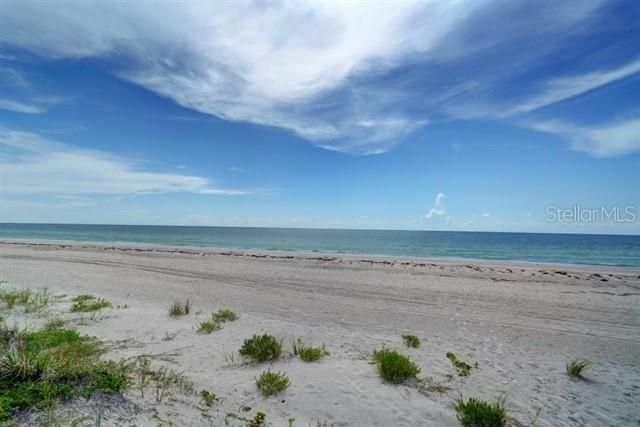 829 Bruce Avenue, Clearwater Beach, FL 33767 Photo