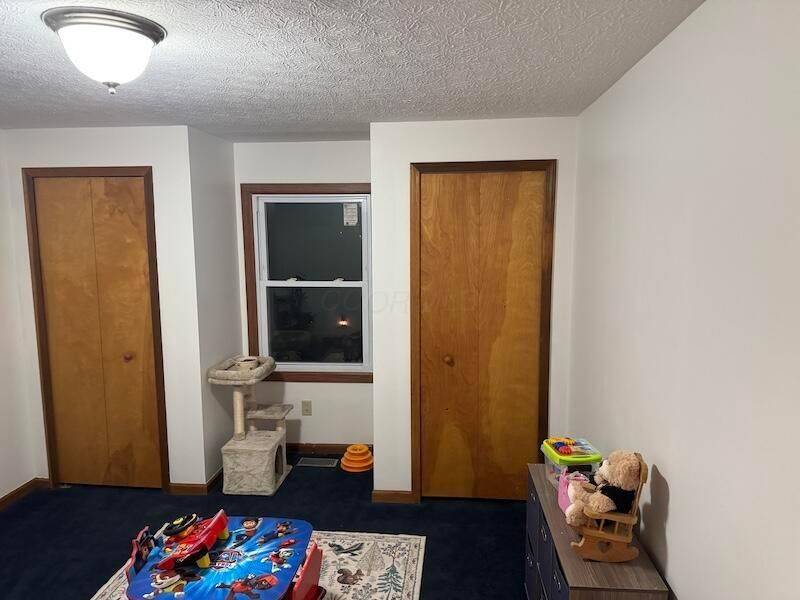 9030 Amity Pike, Plain City, OH 43064 Photo 32