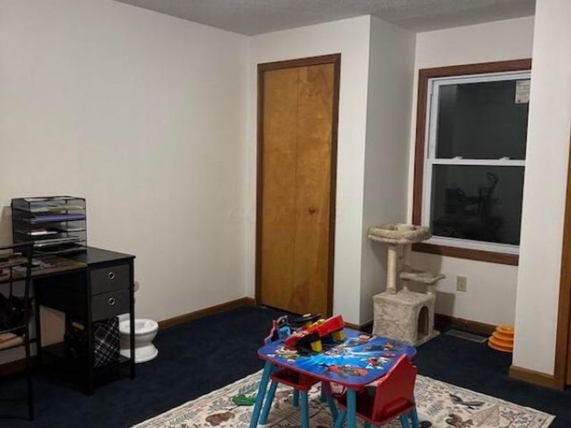 9030 Amity Pike, Plain City, OH 43064 Photo 34