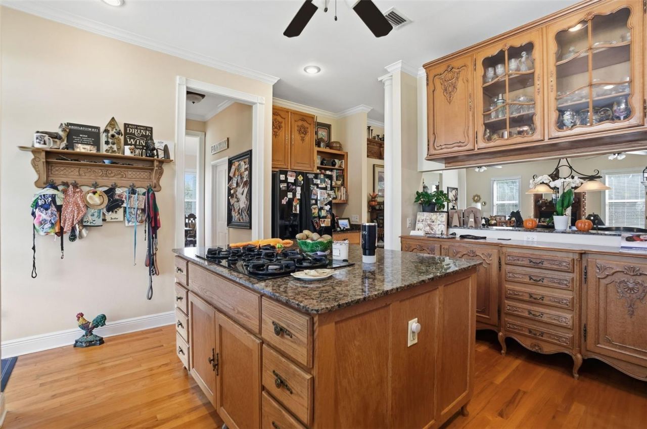 23337 Lake Lindsey Road, Brooksville, FL 34601 Photo