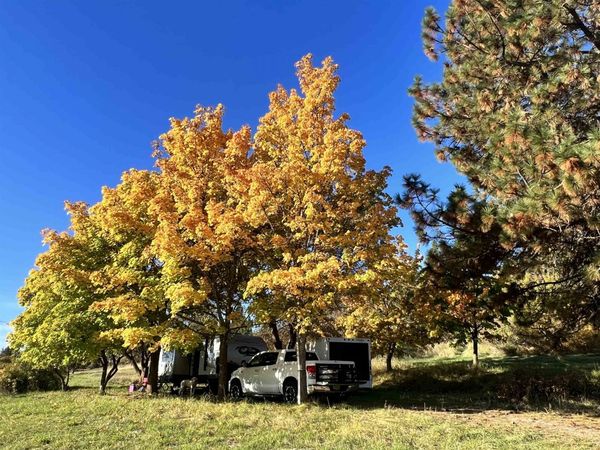 29411 N Dunn Rd, Chattaroy, WA 99003