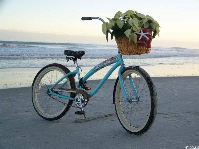 220 Lumbee Circle Photo 32