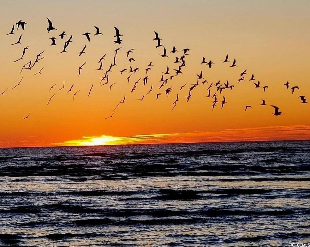 220 Lumbee Circle Photo 33