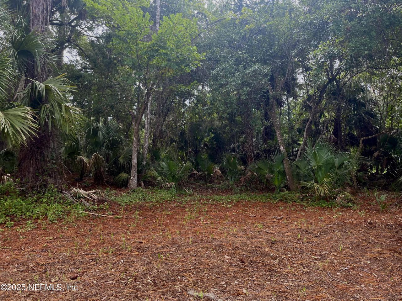 118 July Avenue, Georgetown, FL 32139 Photo