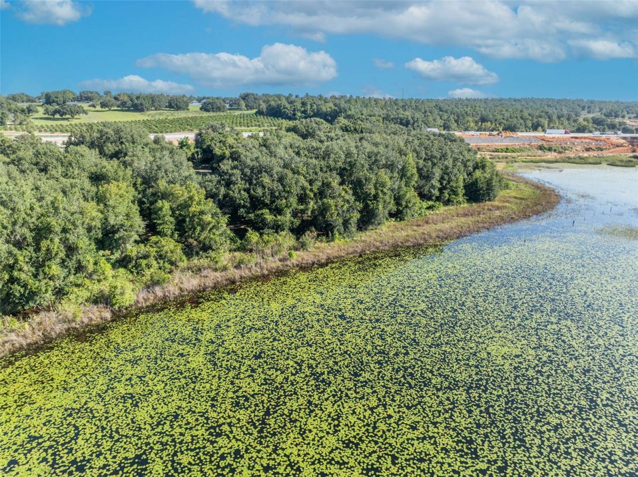 19048 Causey Road, Clermont, FL 34715 Photo