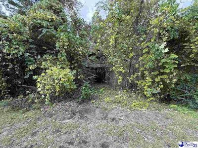 185 Solomon Circle, Nesmith, SC 29580