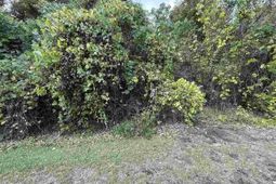 185 Solomon Circle photo 4