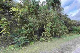 185 Solomon Circle photo 4