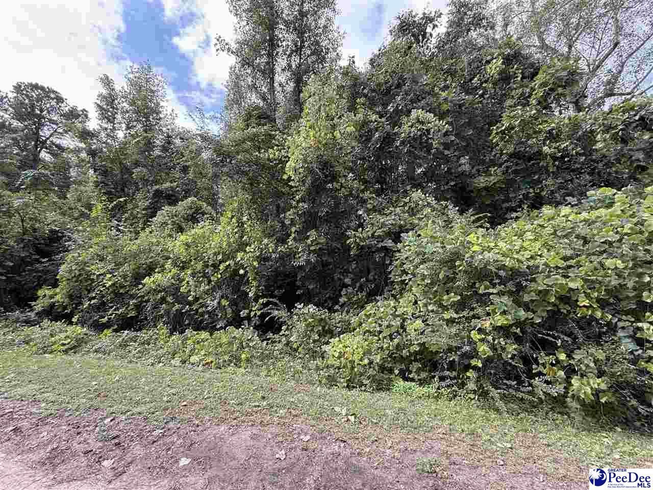 185 Solomon Circle Photo 4