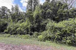 185 Solomon Circle photo 4