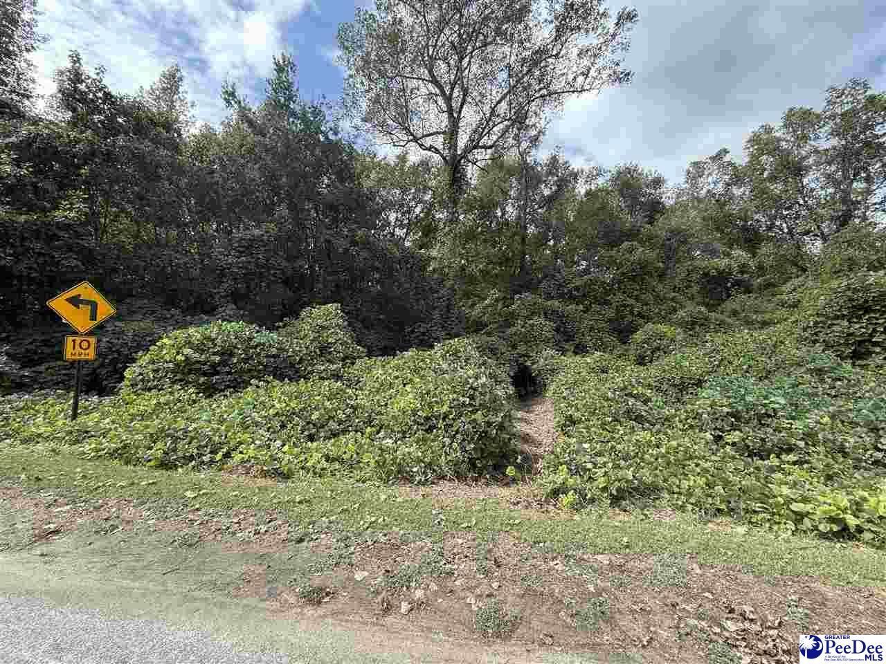 185 Solomon Circle Photo 5