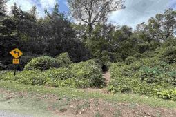 185 Solomon Circle photo 4