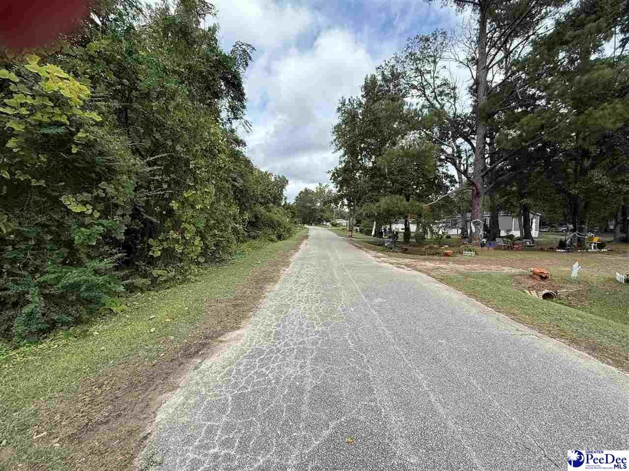 185 Solomon Circle Photo 6